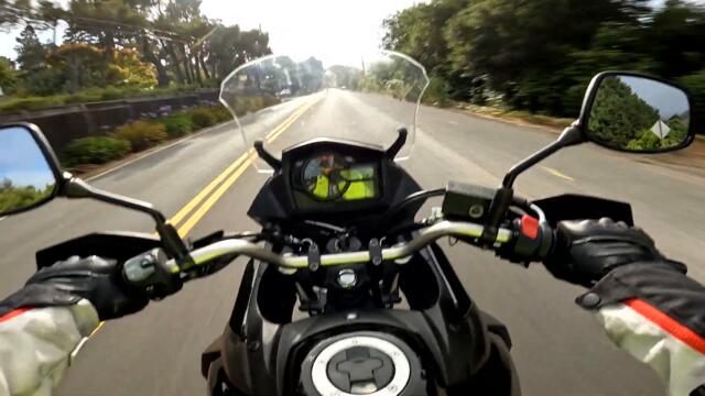 The hidden colony of Preston