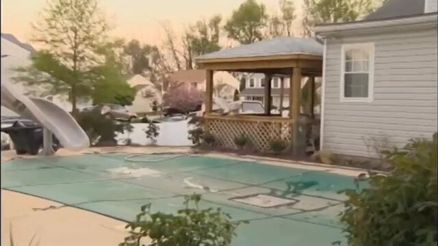 From the archives: Ruffled feathers: family's peacocks annoy neighbors