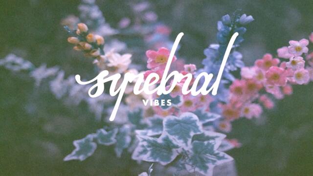 [House] Adventure Club - Wonder (The Chainsmokers Remix)