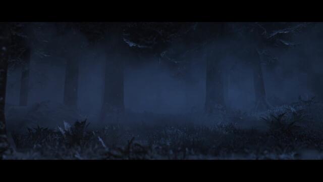 A New Champion Approaches…