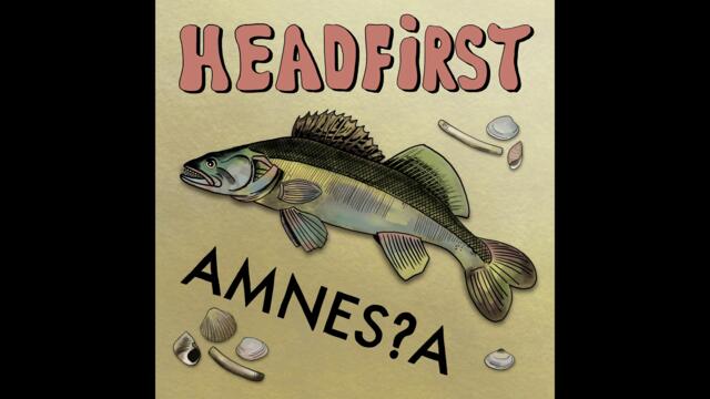 Headfirst - Amnesia