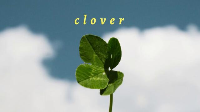 Clover