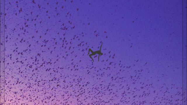 Slow My Heart Rate Down