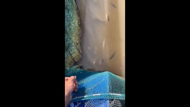 Best of the Week - Лучшее за Неделю #52 Самые смешные видео, фейлы и лучшие приколы тикток 2022