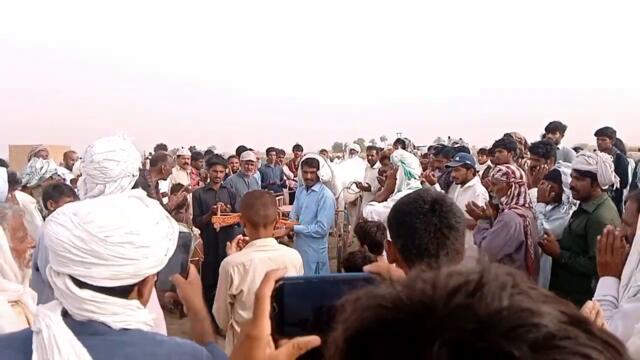 The New Bull Race in All pakistan much  Full much bull race