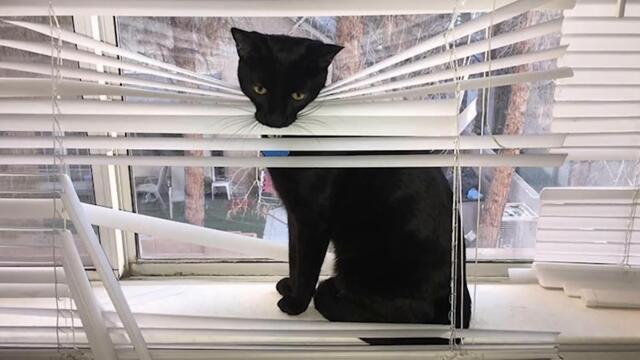 Хватит это терпеть! (3 серия)