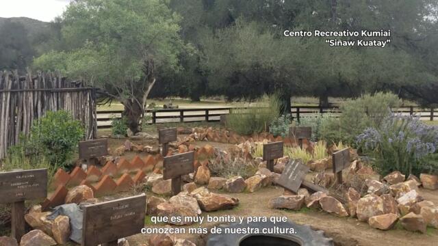 PSA - Ejido Cañón de los Encinos y San Antonio Necua - Baja California