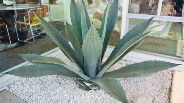 P-Lo - Good Feat. Larry June (Official Video)