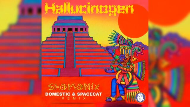 Hallucinogen - Shamanix (Domestic & Spacecat Remix)