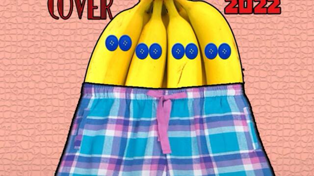 Dejan Nikolovski - Banans in pijamas Instrumental Cover (2022)