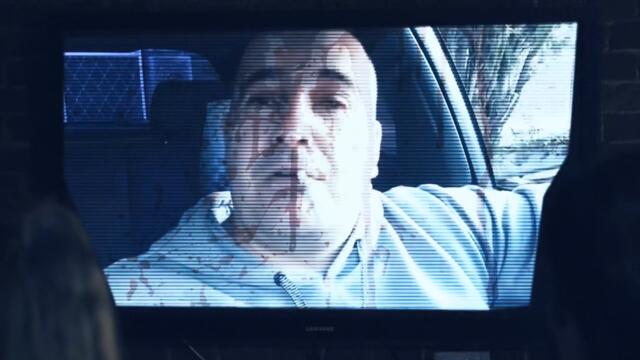 NATURALKATA - PITBULL