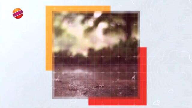 Телемедиа ТВ HD - Времето