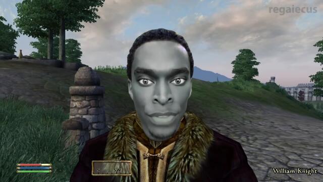 There is no such thing as a coincidence (Oblivion NPC)