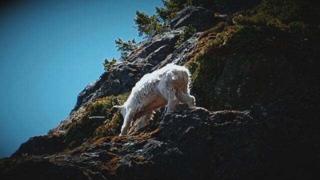 Andrew Price - Colder Shoulders [Official Music Video]