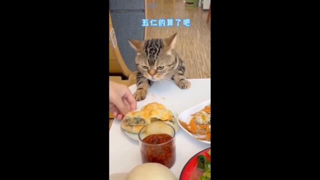 Best of the Week - Лучшее за Неделю #58 Самые смешные видео, фейлы и лучшие приколы тикток 2022
