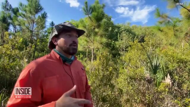 Are Rattlesnakes Taking Over This College Campus?