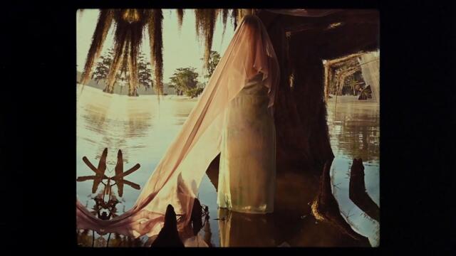 Julie Odell - Cardinal Feather (Official Video)