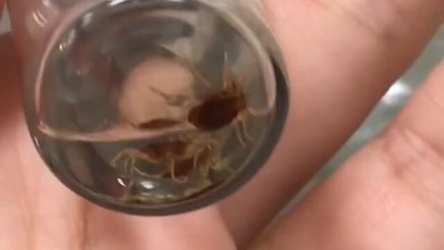 Популярное из Тик Ток (75 часть)