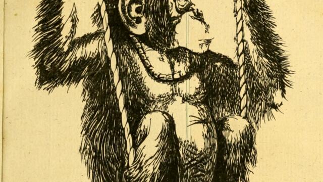 The Derevolutions - Get High and Listen to Music