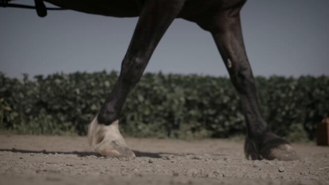 WOMEN TALKING | Another Way Forward - A Filmmaker’s Vision