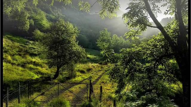 Cygnus X   The Orange Theme Man With No Name Remix Psytrance   Goa Trance