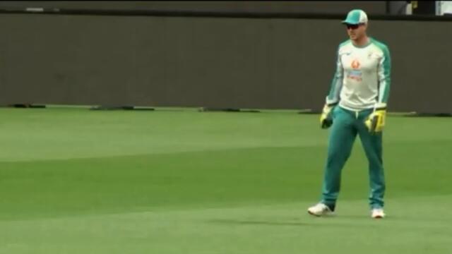 Tim Paine’s Bulging Dick