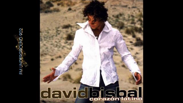 David Bisbal - Quiero perderme en tu Cuerpo (Audio)