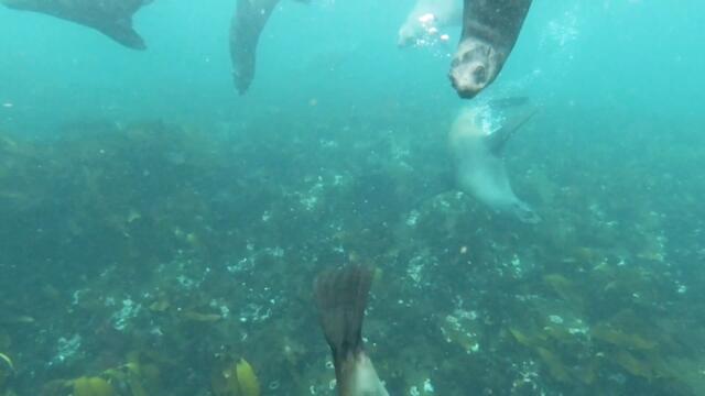 The Boys With The Perpetual Nervousness - Turning Red (Official Video)