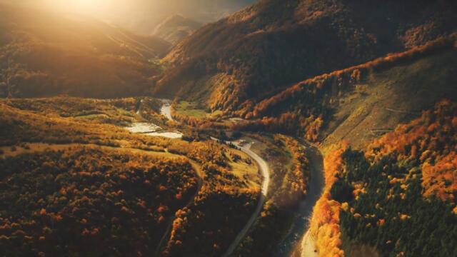 Elon Musk’s INSANE NEW Hydrogen Car SHOCKS The Entire Car Industry!