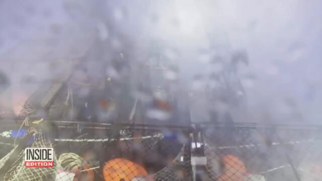 Why Are Snow Crabs Disappearing From Alaska’s Coast?