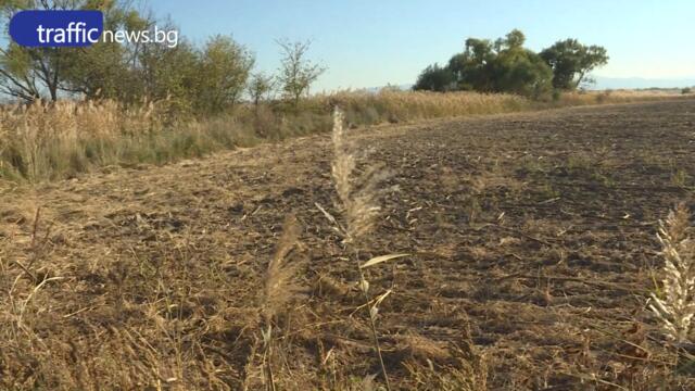 Убиецът от Първомай сам се предал в полицията, донесъл със себе си ловната си пушка