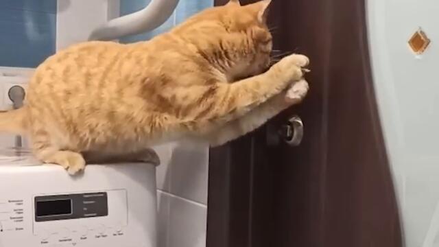 Популярное из Тик Ток 83 часть