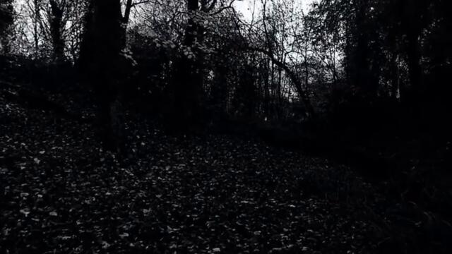 I'm Married To A Spirit/Ghost My Husband The Apparition,"Spectral Honeymoon II"Love/Sexual Ecstasy