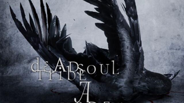 Feed Pt. I: Stone By Stone