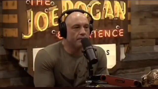 Joe Rogan Fact Checks Matt Walsh LIVE | transphobia, puberty blockers, hormones replacement #shorts