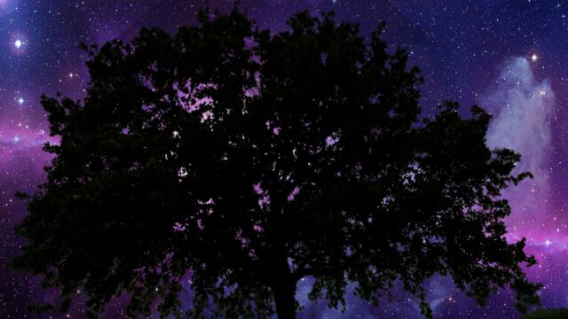 The Tale of the Lonely Man