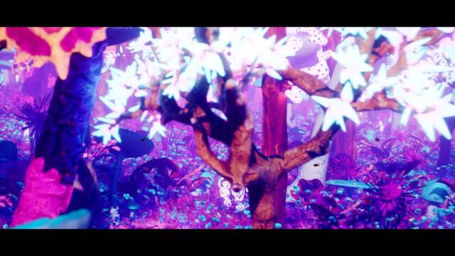 Money Man - Phenomenal (Official Video)