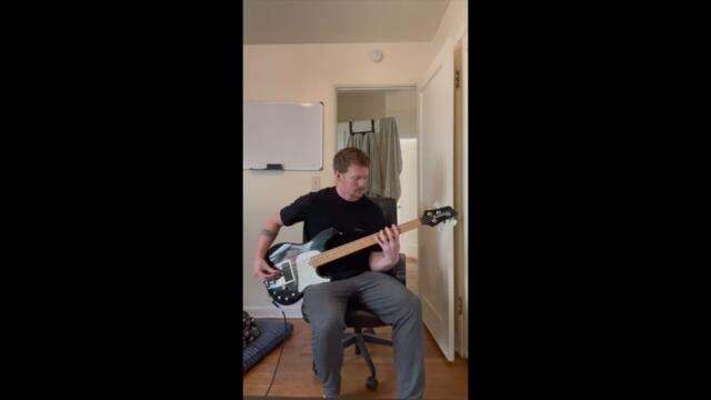 🎸 LITTLE LION MAN - TONIGHT ALIVE BASS COVER