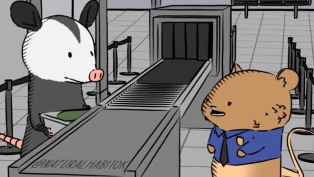 Natural Habitat Shorts-Opossums have pouches and can have up to 20 Joeys per litter!