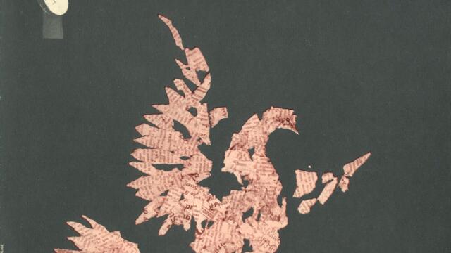 Seek and You Shall Find / Fare Well, Little Fishes / Where Have All The Flowers Gone? /...