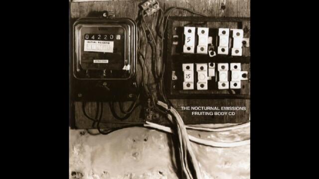 The Nocturnal Emissions ‎– Infected