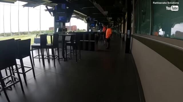 Rattlesnake Climbs Into Top Golf Ball Dispenser