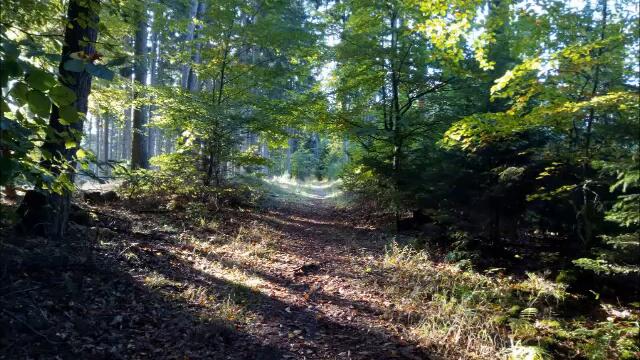 Barbara Allan (Child 84) - Ethel Findlater