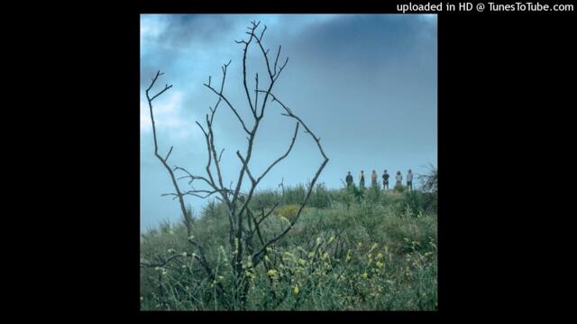 King Gizzard - Ice V (Demo)