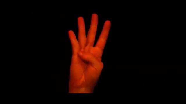 Elucidate - Brandon Kaltenbaugh (Official Video)