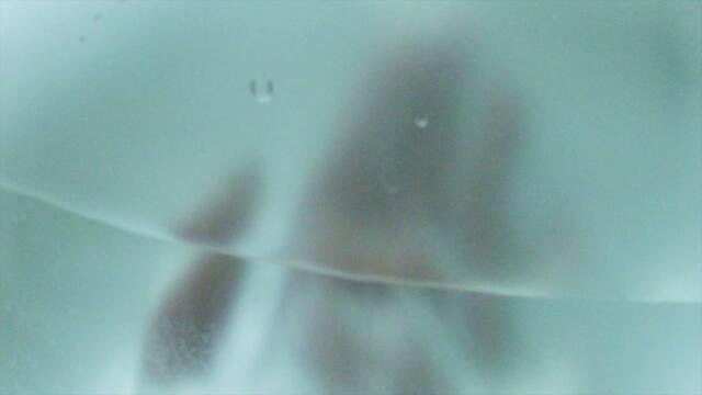 Saya Gray - ZUCCHINI DREAMS (AUBERGINE MEMORIES)