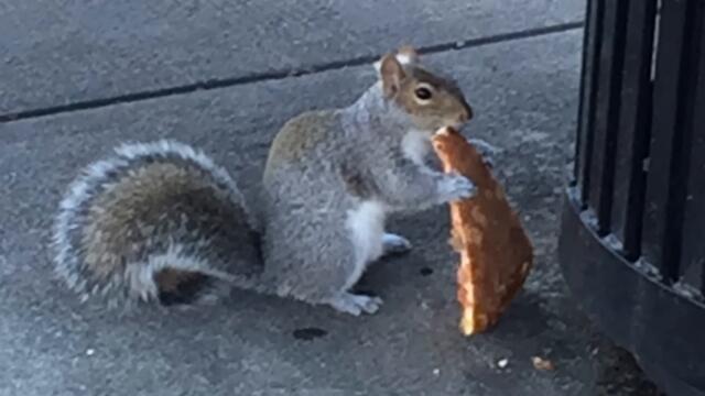 Сперва это был самый обычный день...