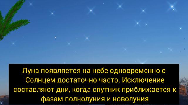 Луну видно днём #полнолуние #луна