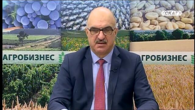 ИДВАТ ПРАЗНИЦИ! ЦЕНИТЕ ГОНЯТ КОСМОСА!