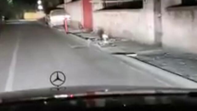 ЗАБЕЛЯЗАНО В ГР. СВИЛЕНГРАД И ДРУГИ